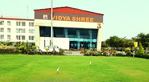 Vidya Shree International School, Rohtak