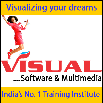 Visual Software & Multimedia logo
