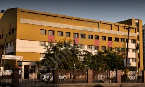 The Millennium School — photo 4