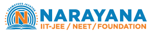 Narayana Institute, Jaipur logo