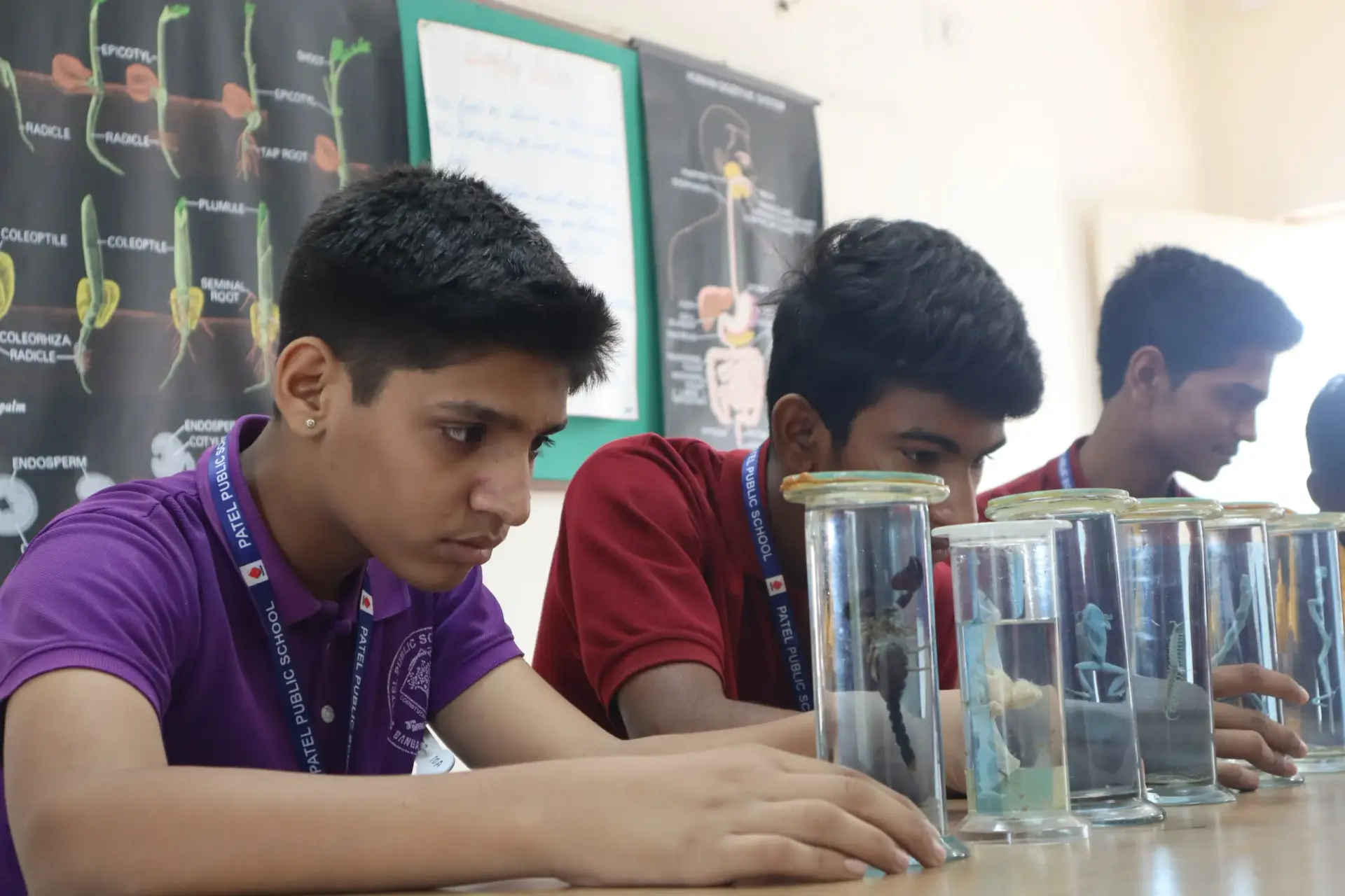Patel Public School, Bellandur — photo 14