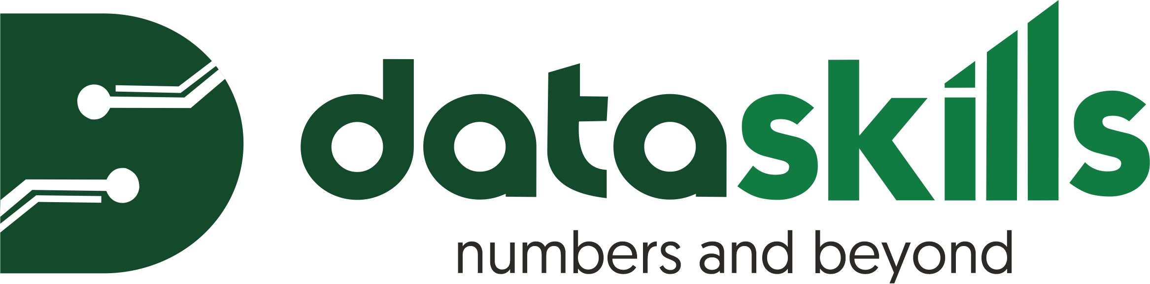 DataSkills Institute, Hyderabad logo