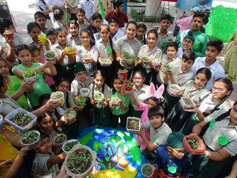 cbse school in chandigarh — Ashiana Public School, Sector 46-A, Chandigarh