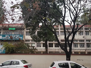 Bal Niketan Model Sr. Sec. School, Sector 37A — photo 3