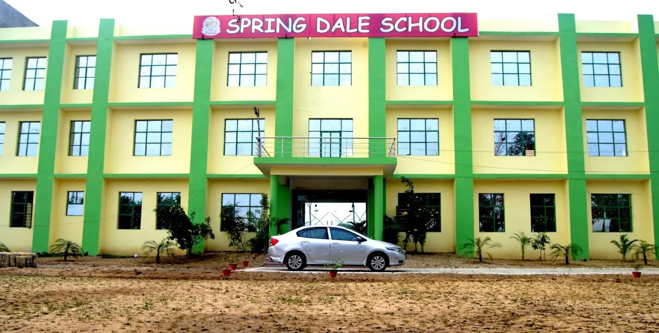 Spring Dale School Greater Noida-2 (Dadri) — photo 4