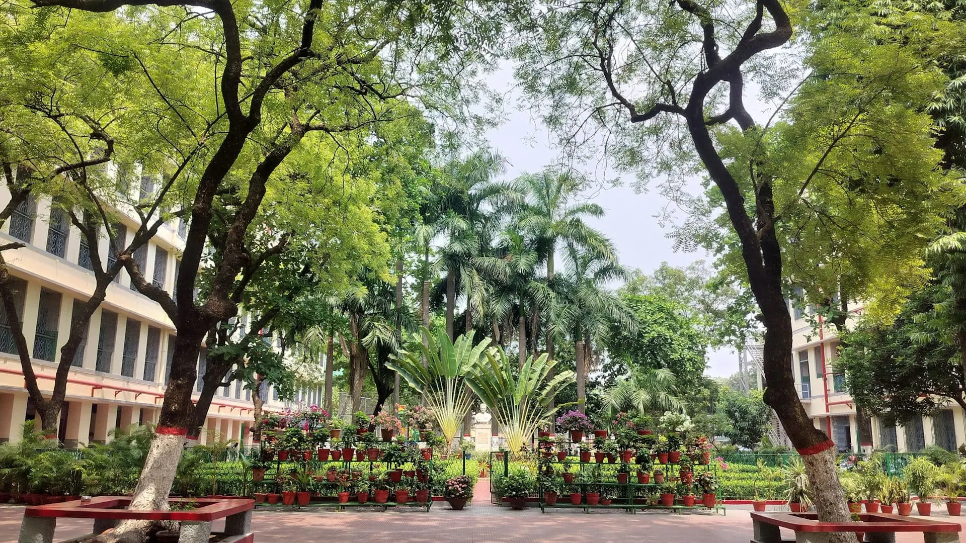 Don Bosco School — photo 5