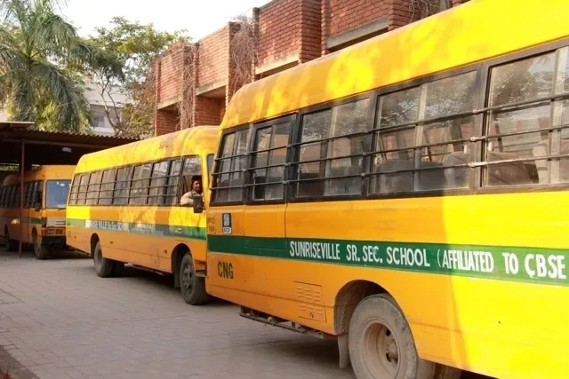 The Sunriseville School — photo 3