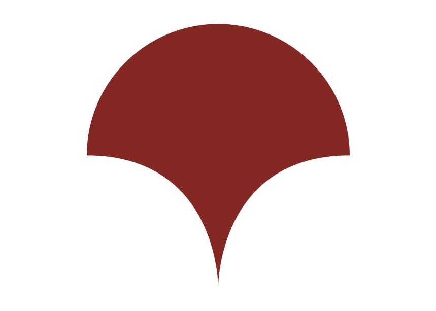 Stonehill International School logo