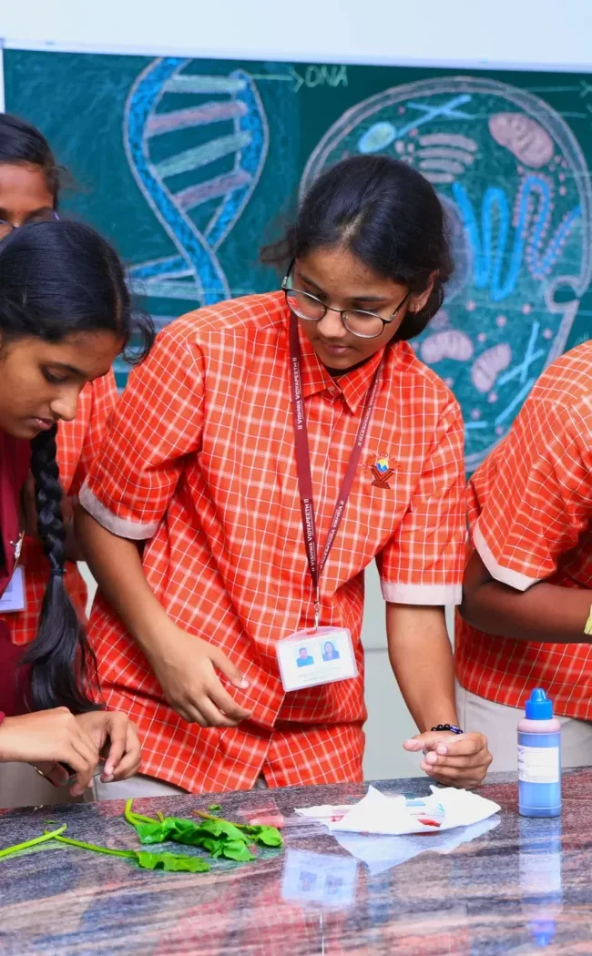 Vishwa Vidyapeeth, Varthur Campus — photo 2