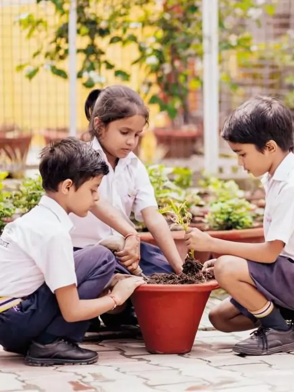 Jaipuria School, Patna — photo 3