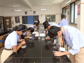 Podar International School - Kalyan (ICSE), Kalyan — photo 5