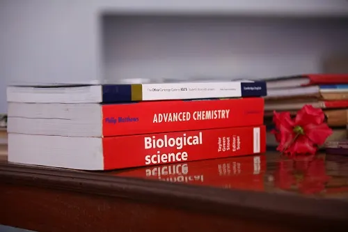 Modern School — photo 4