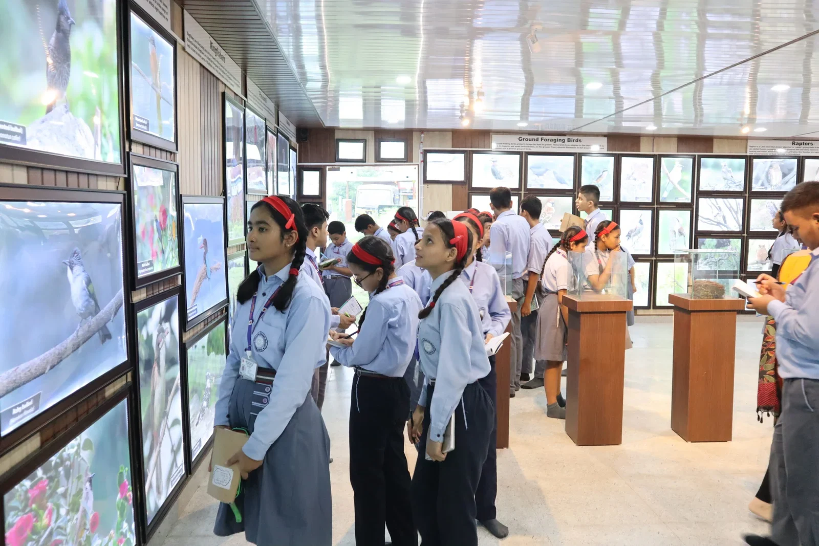 MBS School — photo 4