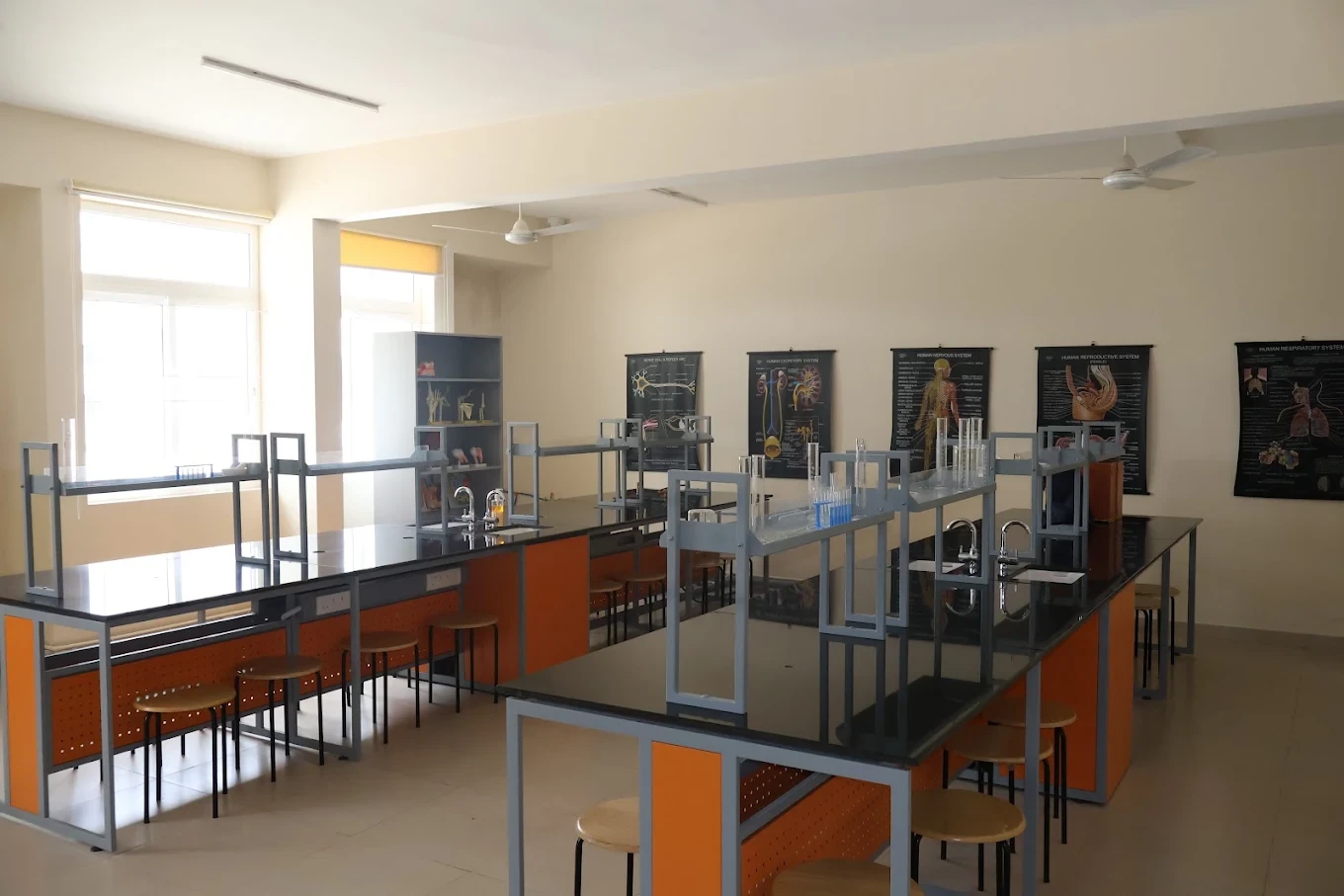 Chrysalis High Gunjur — photo 3