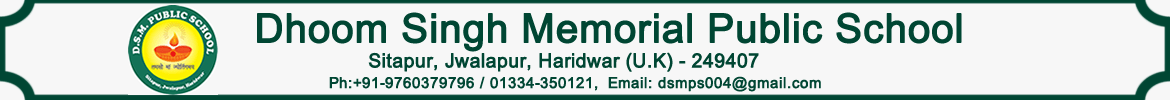 DSM Public School logo