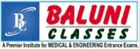 Social Baluni Public School logo