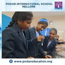 Podar International School - Nellore — photo 3