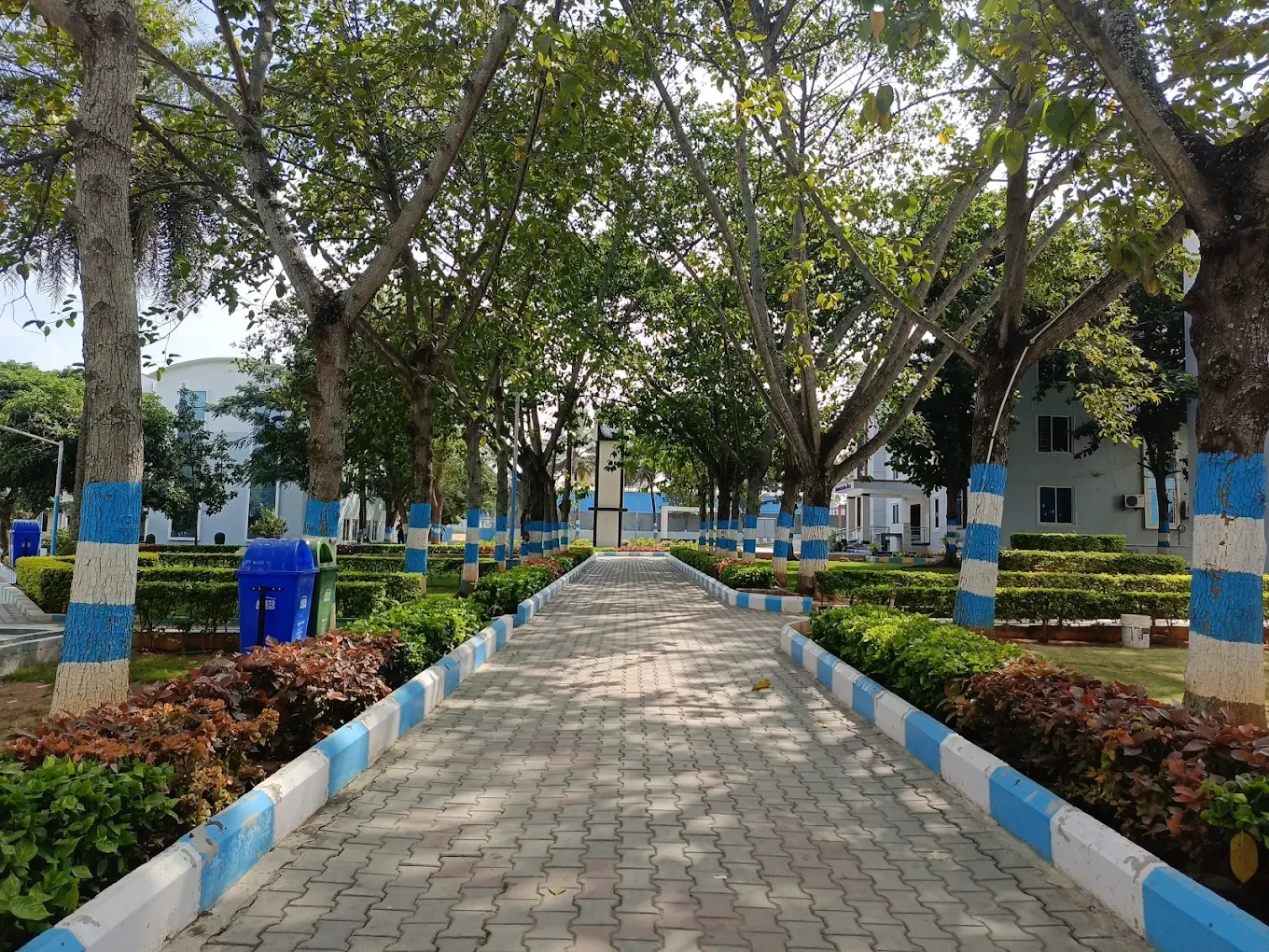 New Baldwin International School, Mandur — photo 3
