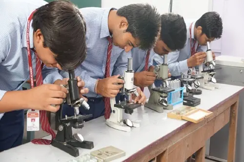 Children’s Senior Academy — photo 2