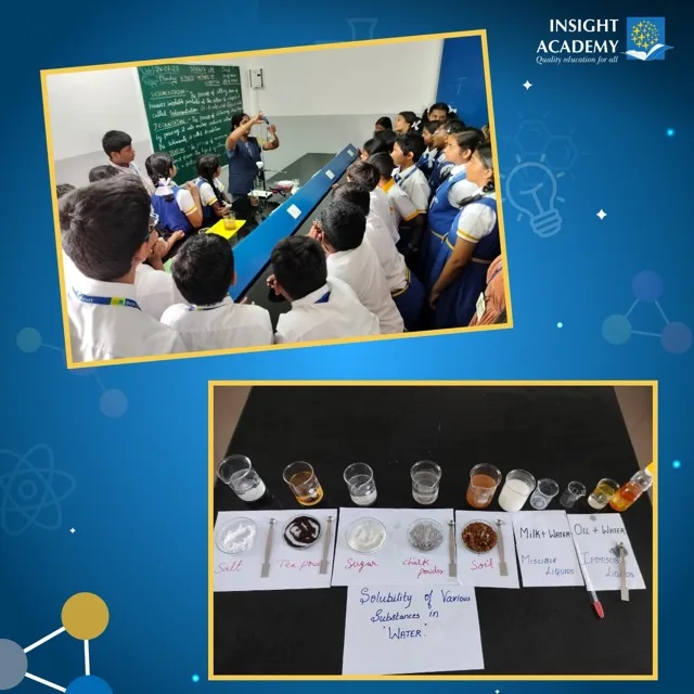 Insight Academy — photo 5