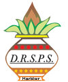 Diksha Rising Stars Public School logo