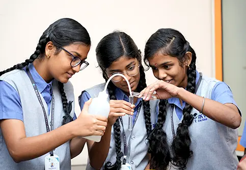 RKV School — photo 11