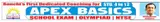 Apex Basics logo