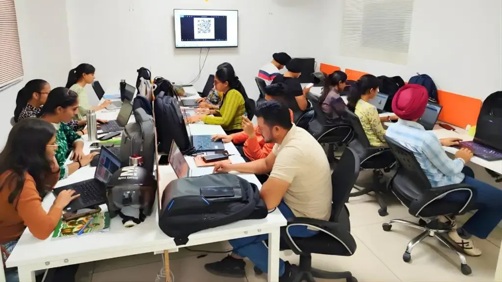 Web Skill Technologies, Mohali