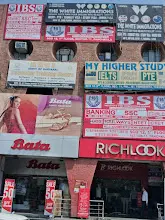 IBS Institute — photo 4