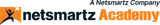 Netsmartz Academy — School of AI & Cybersecurity logo