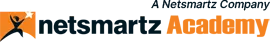 Netsmartz Academy — School of AI & Cybersecurity logo