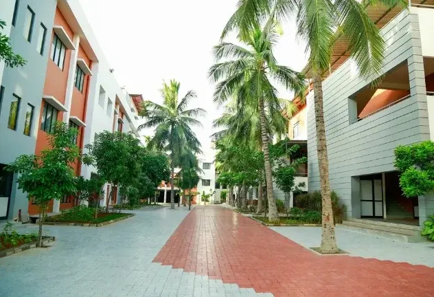 CS Academy — photo 3
