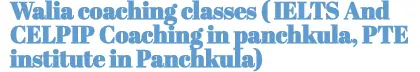 WizMantra Academy logo