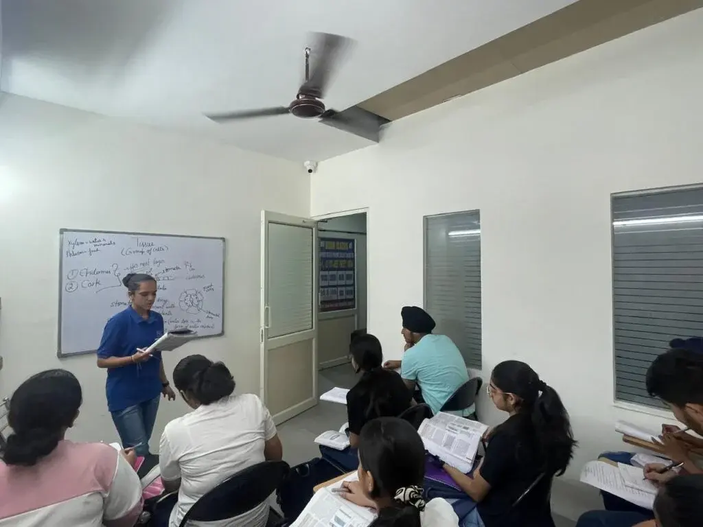 Vision Classes, Mohali — photo 4