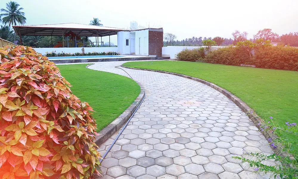 Avani Public School