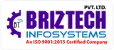 BrizTech InfoSystems Pvt. Ltd., Ranchi logo
