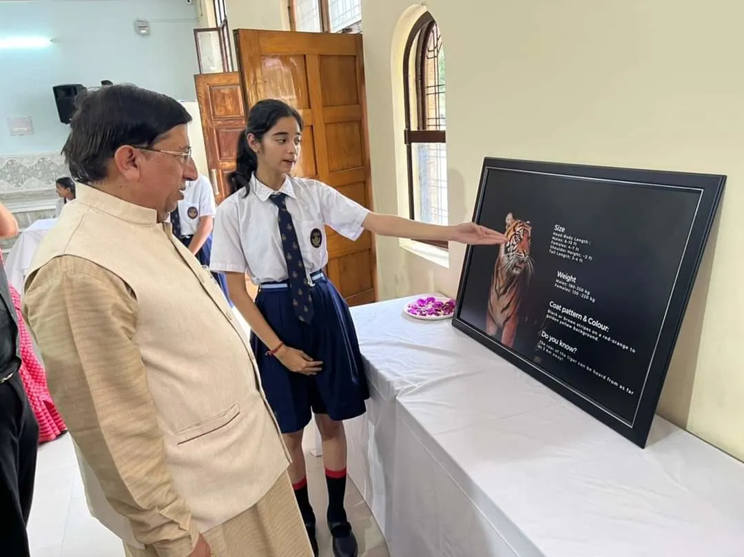 Apollo International School — photo 3