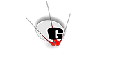 GD Goenka International School, Surat logo