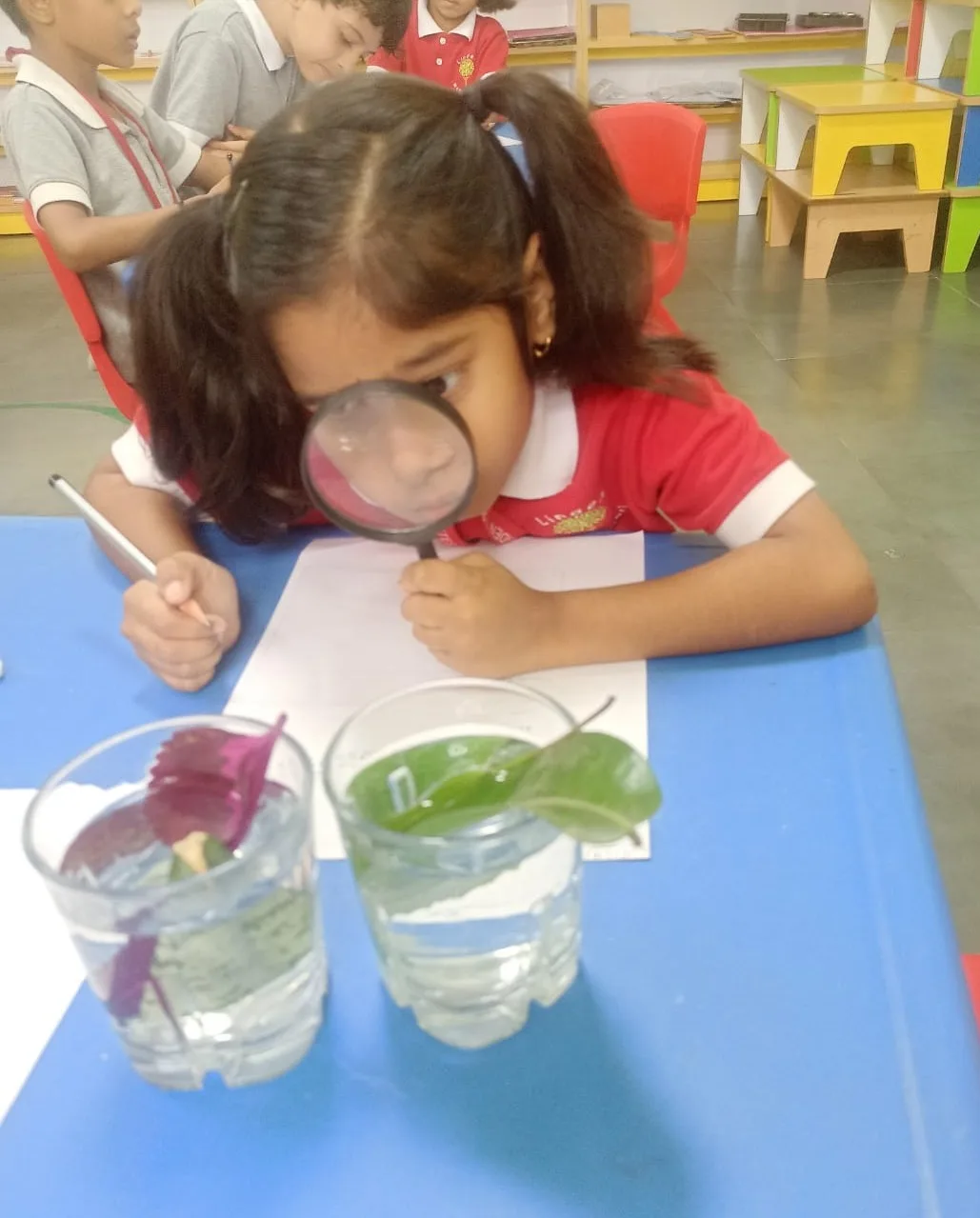 Linden Montessori Bengaluru — photo 7