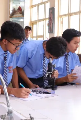 Modern School — photo 5