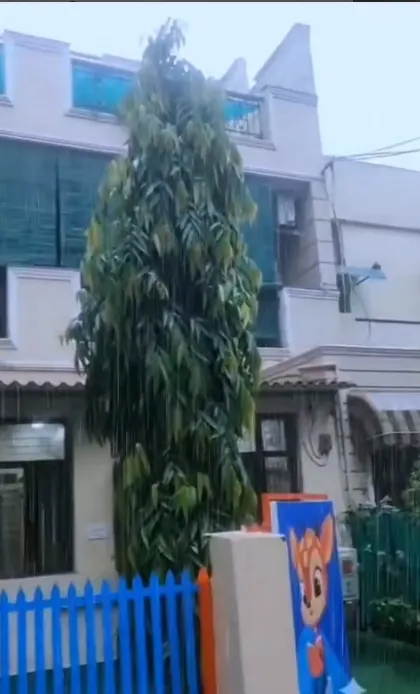 Little Millennium Preschool - Tagore Garden, New Delhi