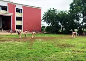 Ryan International School, Jalna — photo 5