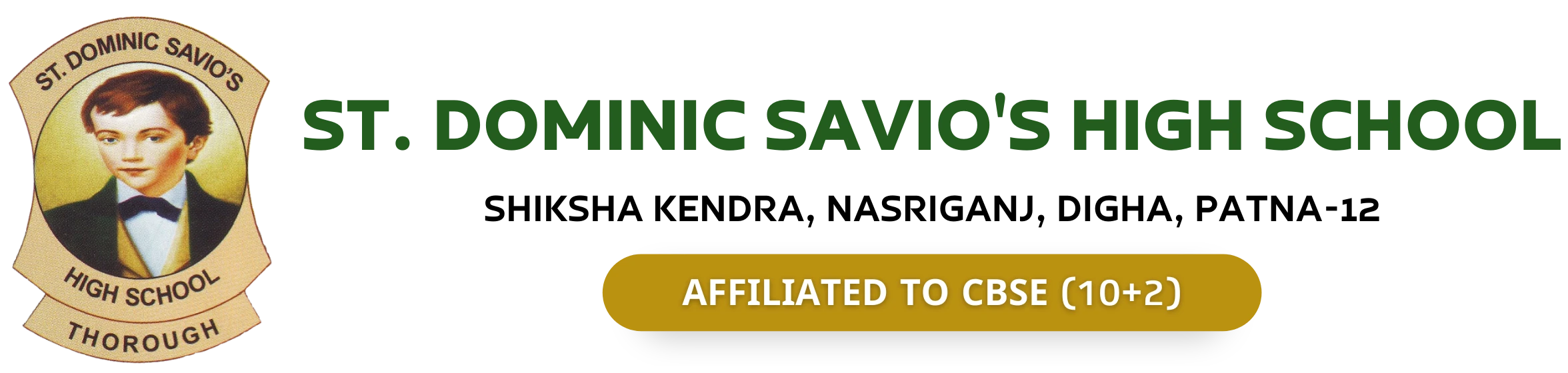 St. Dominic Savio’s High School Patna, Bihar logo