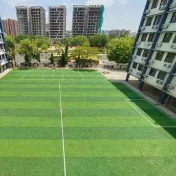 Podar International School - Chandkheda, Ahmedabad — photo 3