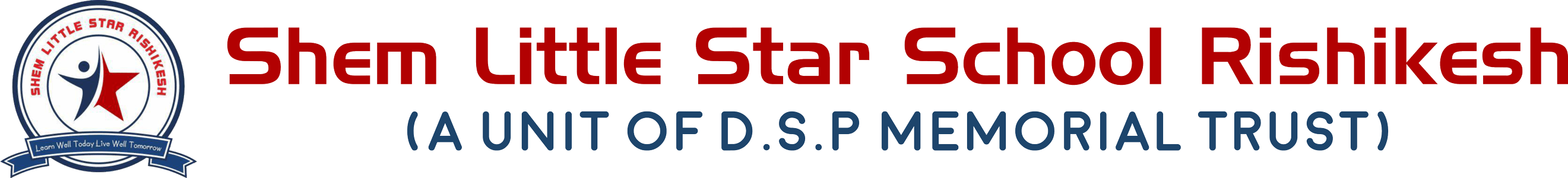 SHEM Little Star School logo